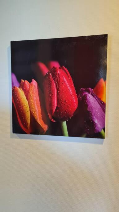 Oude Meesters Bolsward Luaran gambar